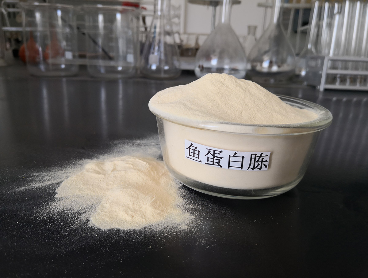 鱼蛋白胨.jpg